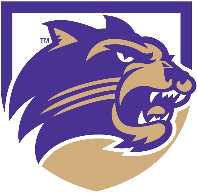 Western Carolina Catamounts 2008-Pres Alternate Logo v3 diy DTF decal sticker